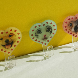 Crochet mural en acrylique translucide personnalisé, givré, semi-transparent, logo personnalisé, réutilisable, en plastique - Product Image 1