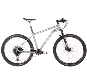 Las Mejores Ofertas en Bicicleta de Montaña de Aleación de Titanio de 29 Pulgadas con Eje Pasante de 142 mm y 12 Velocidades GX - Product Image 1