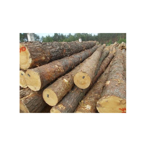 Fourniture en gros de grumes de frêne de pin hêtre et de chêne Prix d'usine Tableau blanc Bois de construction de qualité supérieure - Product Image 6