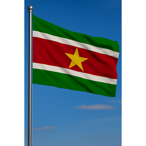 Custom Digital-Printed Suriname Outdoor <b>Flags</b> on Polyester Silk Aluminum <b>Pole</b> <b>for</b> Automotive Insurance Education Travel Agency - Product Image 3