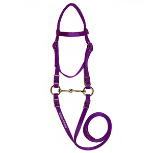 Équipement d'équitation de couleur personnalisée de nouvelle conception, bride de taille de cheval en nylon bleu - Product Image 1