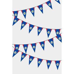 Guirnalda de Banderas Triangulares de Belice para Decoración de Fiestas - Product Image 1