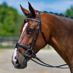 Brida inglesa con forma anatómica elegante, equipo de caballo ajustable acolchado suave, cuero de piel de vaca con cómoda brida de caballo de cuero - Product Image 2
