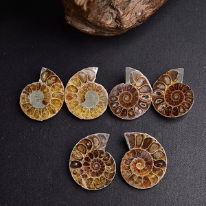 All'ingrosso nuovo arrivo naturale di Ammonite fossile fette lucidate <span class=keywords><strong>pietra</strong></span> <span class=keywords><strong>grezza</strong></span> conca <span class=keywords><strong>lastra</strong></span> di fossili per l'arredamento della casa - Product Image 3