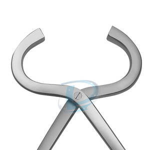 Instruments vétérinaires en acier inoxydable Testeur de sabots Équipement animal Testeur de sabots En vente en ligne - Product Image 6