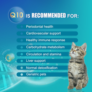Coq10 לב בריא coאנזים q10 לב בריא ותוספת הזדקנות בריאה לכלבים וחתולים - Product Image 5