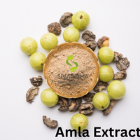 Poudre d'Amla 100% Naturelle de Haute Qualité, Culture Sauvage, Usage Cosmétique, Approvisionnement Direct en Gros, Usine, Bouteille/Fût Privé