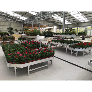 Juego de Mesas Promocionales con Diseño Floral - Product Image 6