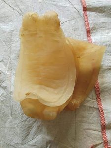 ช่องคลอดปลาน้ําทะเลแห้งอบแห้งจากธรรมชาติ 100% - ผู้ผลิตช่องคลอดปลาน้ํามันสดอุดมไปด้วยคอลลาเจนเพื่อความงามของผิว - Product Image 3