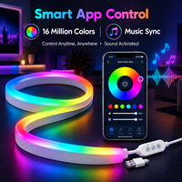 Bande lumineuse LED néon 5M (16,4FT) RGBIC intelligente avec synchronisation musicale via application, alimentation USB pour chambre, salle de jeux, rétroéclairage TV