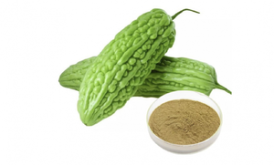 Suministro de Fábrica: Polvo y Hojuelas de Melón Amargo Seco a Granel, Ingredientes Alimenticios de Hierbas Crudas para Especias, Certificación Pass Agro, 24 Meses - Product Image 4