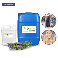 Hydrolat d'hysope 100% pur, eau florale liquide, feuilles, hydrodistillation, modèle OBM AI-HY-6015, origine Europe du Sud, Asie