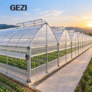 Serra a più campate con archi gotici, copertura in film collegata alle grondaie e design anti-neve per la coltivazione commerciale di ortaggi - Product Image 2