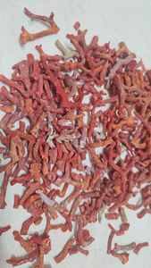 หินปะการังแดงอิตาลี หินธรรมชาติ สำหรับทำเครื่องประดับ คุณภาพดี สีสวย - Product Image 3