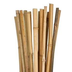 50 canne di bambù naturali 150cm Ø12/14mm-attrezzatura da arrampicata biologica e supporto accessori per pomodori da giardino verdure e piante - Product Image 1