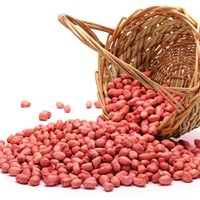Prix bon marché Meilleure qualité Cacahuètes biologiques naturelles en coque En stock Livraison rapide Cacahuètes crues Noix à vendre