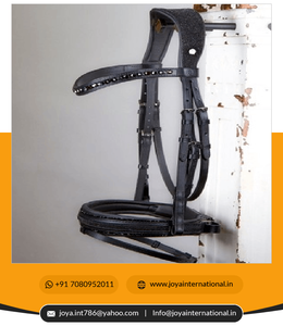 Riel de 2022 grados para okyo, accesorio plegable - Product Image 2