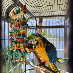 Juguetes masticables para pájaros hechos de madera sólida y sostenible para entrenamiento interactivo de aves de Indonesia - Product Image 2