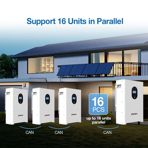 نظام تخزين الطاقة المنزلي 100 أمبير ساعة 5 كيلو واط ساعة 200 أمبير ساعة 10 كيلو واط ساعة 300 أمبير ساعة 15 كيلو واط ساعة بطارية ليثيوم أيون حزمة بطاريات LiFePO4 بالجملة - Product Image 2