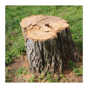 Bois de chauffage d'arbre de pluie fiable en stock pour l'achat de grand volume - Product Image 4