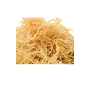 Qualité de l'exportation des algues Cottonii (séchées EUCHEUMA COTTONI) algues de 99 Gold Data Vietnam - Product Image 1