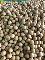 Premium Verse Longan Groothandel Voor Supermarkten En Distributeurs Met Natuurlijke Zoetheid En Sappig Vlees