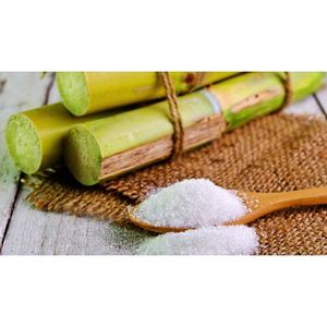 Vente en gros de sucre de canne raffiné blanc pur ICUMSA 45 emballé dans des sacs en vrac - Product Image 1