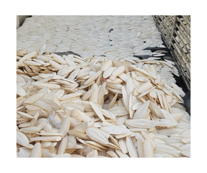 Os de seiche sec de haute qualité pour animaux de compagnie Reptile ermite crabe 100% à partir d'os de seiche naturel-99 GD - Product Image 1