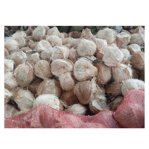 Coco semi descascarillado de calidad de exportación recolectado de plantaciones maduras perfecto para el procesamiento de bebidas y alimentos - Product Image 1