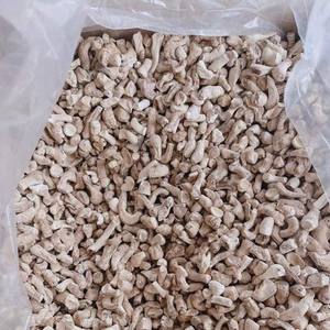 Champignon Shiitake avec bon goût Usine Pieds Shiitake du fournisseur du Vietnam Grande quantité de champignon Shiitake - Product Image 5