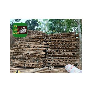 POLOS DE BAMBÚ NATURAL AL POR MAYOR DE VIETNAM PARA CONSTRUCCIÓN PAISAJE JARDÍN Y FINES DE DECORACIÓN INTERIOR - Product Image 5