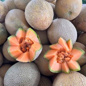 เมลอนคันตาลูปพรีเมียมสดใหม่จากธรรมชาติ - รสหวานเข้มข้น - Product Image 3