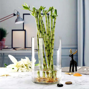 VCY0810 - Vase en verre cylindrique - 8 x 10 - Product Image 4