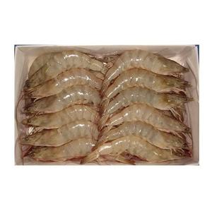 Camarones Vannamei de Portugal, Congelados, sin Cabeza, 100% Mariscos Naturales - Product Image 4