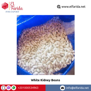 Proveedor Líder de Productos Agrícolas al por Mayor de Alta Calidad, Judías Blancas Secas/ Judías Alubia/ Judías Navy de Egipto - Product Image 4