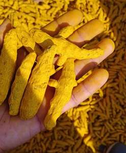 Doigts de curcuma indiens authentiques 100% naturels sans additifs durée de conservation 24 mois-soigneusement récoltés emballés pour la cuisson mélange - Product Image 3