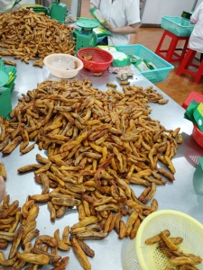 Plátano seco de origen vietnamita, bocadillo masticable dulce, plátano seco Premium para distribuidores globales - Product Image 2