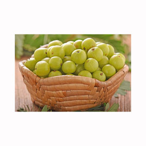 สารสกัดจากผลไม้น้ำผลไม้ธรรมชาติ Amla สำหรับบริษัทเครื่องดื่มผู้ผลิตผลิตภัณฑ์เพื่อสุขภาพและผู้ค้าระหว่างประเทศ - Product Image 4