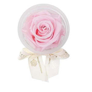 Rosa Eterna, Artículos Personalizados para Fiestas, Recuerdos Personalizados para Tu Ocasión Especial - Product Image 1
