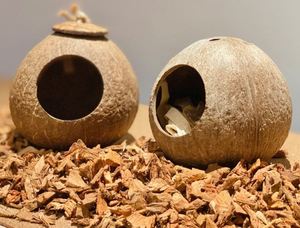 Eco2go Vietnam, Fabricante de Virutas de Cáscara de Coco – Sustrato Natural al por Mayor para Camas de Mascotas, Reptiles y Granjas de Animales - Product Image 4