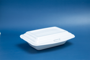 Offre Spéciale 2026 – Fournisseur de Plats/Barquettes/Contenants/Bols/Boîtes Alimentaires Jetables en Mousse PS Plastique pour Plats à Emporter – Vente en Gros Très Demandée - Product Image 3