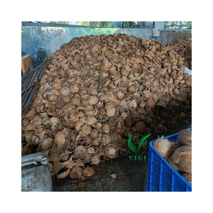 เปลือกมะพร้าวดิบจากเวียดนามแบบยั่งยืนสำหรับไบโอชาร์เครื่องปั้นดินเผาและของตกแต่งบ้าน - Product Image 2