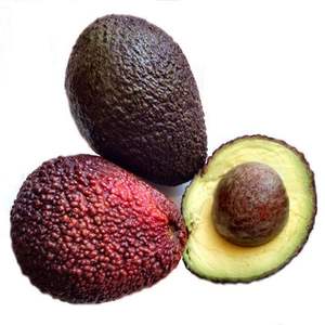 High Quality Fresh Hass Avocado from Vietnam <b>GAP</b> & HACCP Certified Wholesale Fresh Fruit - Product Image 3