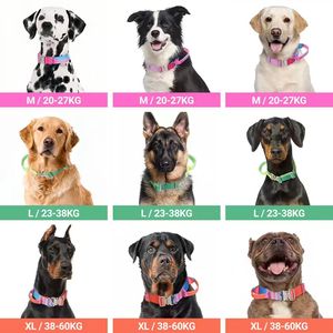 New Model Durable Gradient Anti-Explosion <strong>Tactical</strong> <strong>Dog</strong> <strong>Collar</strong> &amp; Retractable Leash Modern Fashion Design - Product Image 6