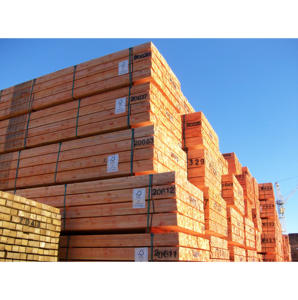 Troncos de abeto a granel, mezcla de calidad A/B/C, para compradores internacionales que buscan materia prima de madera blanda europea para adquisición al por mayor. - Product Image 1