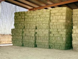 Balles/granulés/cubes de luzerne de foin de Timothy Hay de qualité alimentaire pour l'utilisation de moutons de chien de poisson de porc de bétail de cheval - Product Image 6