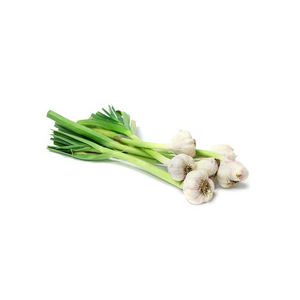 Venta al por mayor barata de ajo pelado fresco de alta calidad a granel - Product Image 5