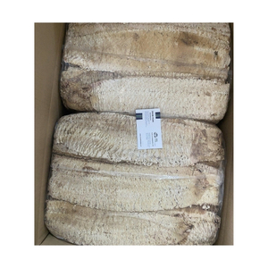 Meilleures ventes : Calmar rôti fiable pour les mélanges de collations de fruits de mer et offrant une bouchée moelleuse irrésistible dans les garnitures de salades - Product Image 2