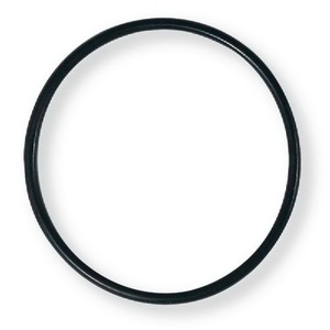 Guarnizione per Corpo Pompa per Modelli Qgz50 Os20B Gaet50 Sr50 Pr50, Riferimento 976810 - Product Image 1