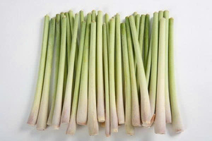 OFFRE EN GROS CITRONELLE CONGELÉE FOURNITURE EN VRAC QUALITÉ SUPÉRIEURE MEILLEURE VENTES PRODUIT D'EXPORTATION D'HERBES AROMATIQUES NATURELLES - Product Image 4